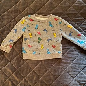 Dinosaur sweatshirt 18m